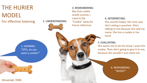 A dog’s guide to listening: Improve your listening skills in six easy steps